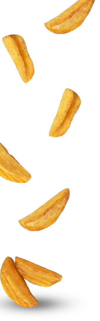 fries